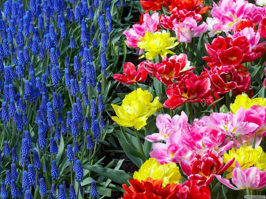 425328 (a): :1600x1200